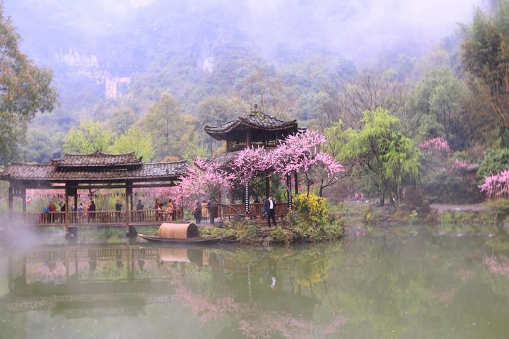 逗小猴开心系列199