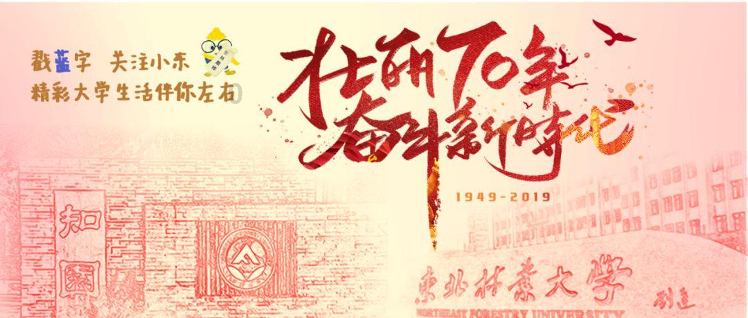 哈尔滨火爆出圈背后的逻辑与思考
